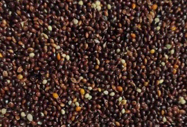 Black Millet